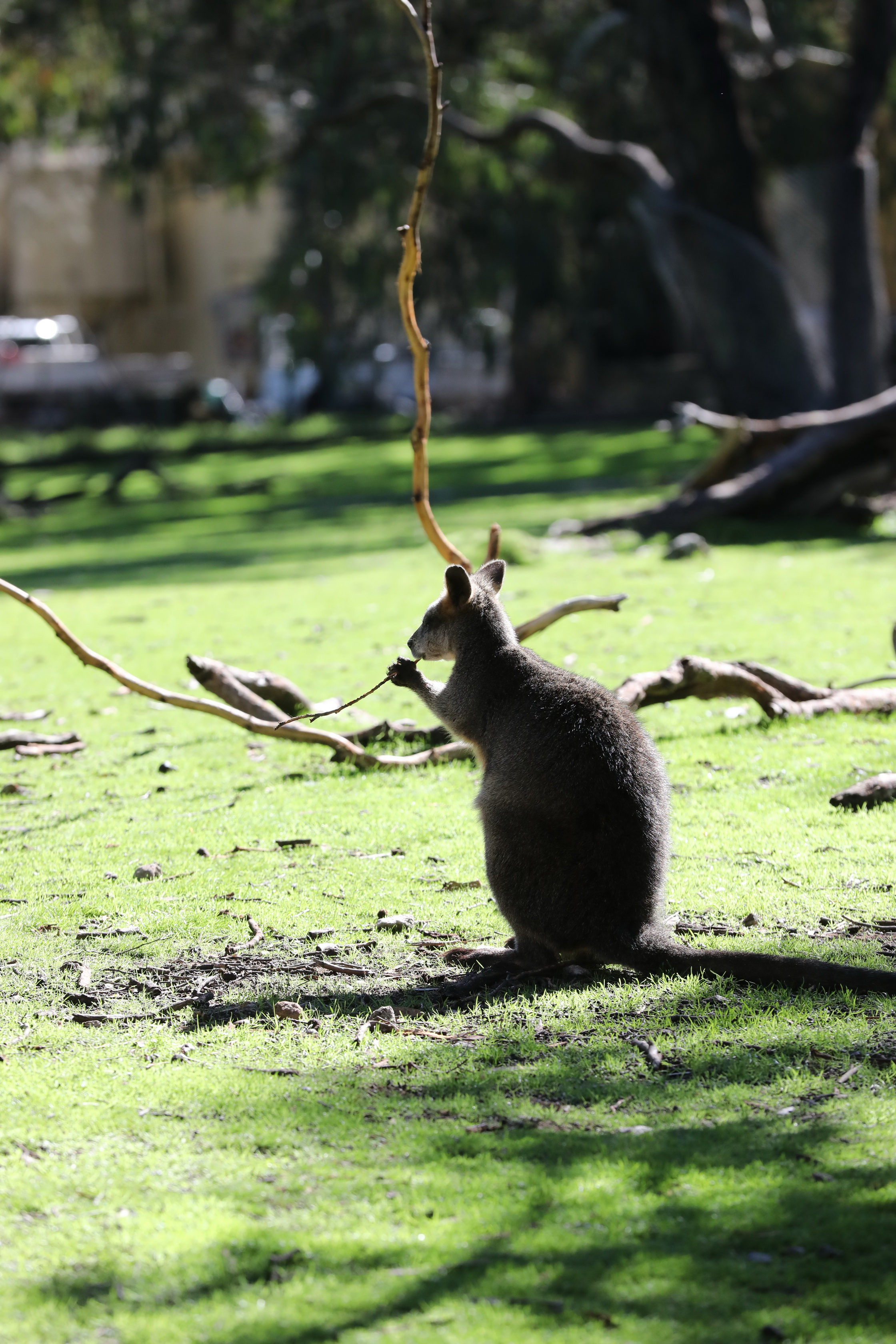 2019 07 19 13 14 59 Canon EOS 5D Mark IV 0006